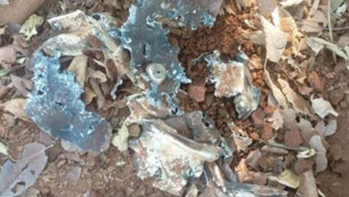 कुरकुंज के जंगल से 5 किलोग्राम वजनी आईईडी बरामद