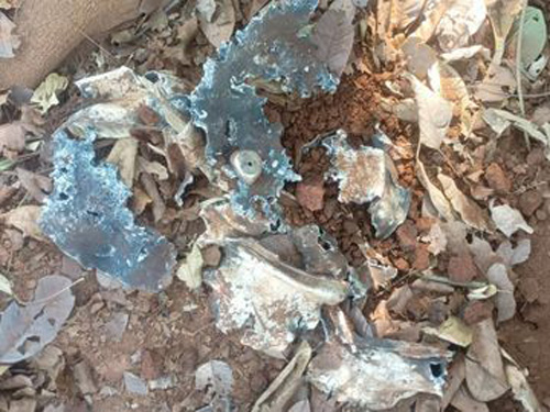 कुरकुंज के जंगल से 5 किलोग्राम वजनी आईईडी बरामद