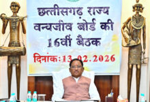 वन्यजीवों के प्राकृतिक आवास की सुरक्षा और सह-अस्तित्व के सिद्धांतों के अनुरूप हो सभी गतिविधियों का संचालन : साय