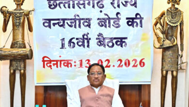 वन्यजीवों के प्राकृतिक आवास की सुरक्षा और सह-अस्तित्व के सिद्धांतों के अनुरूप हो सभी गतिविधियों का संचालन : साय