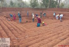 जल संरक्षण से आजीविका तक : बारिश से पहले 10 हजार से अधिक आजीविका डबरी निर्माण का लक्ष्य