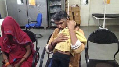 पागल कुत्ते ने पाटी नगर में 4 लोगों पर हमला किया, बच्ची भी जख्मी