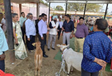 केन्द्रीय पर्यवेक्षकों ने दुर्ग, बालोद और बेमेतरा जिले पहुंचकर योजनाओं का किया निरीक्षण, पशुपालकों से की चर्चा