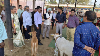 केन्द्रीय पर्यवेक्षकों ने दुर्ग, बालोद और बेमेतरा जिले पहुंचकर योजनाओं का किया निरीक्षण, पशुपालकों से की चर्चा