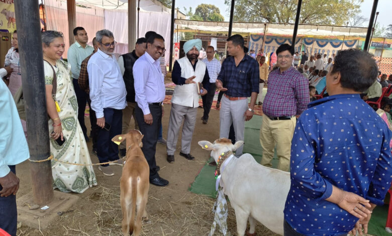 केन्द्रीय पर्यवेक्षकों ने दुर्ग, बालोद और बेमेतरा जिले पहुंचकर योजनाओं का किया निरीक्षण, पशुपालकों से की चर्चा