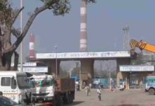 पर्यावरण संरक्षण के दावों पर सवाल, विंध्यनगर में पेड़ काटे गए