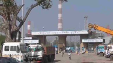 पर्यावरण संरक्षण के दावों पर सवाल, विंध्यनगर में पेड़ काटे गए