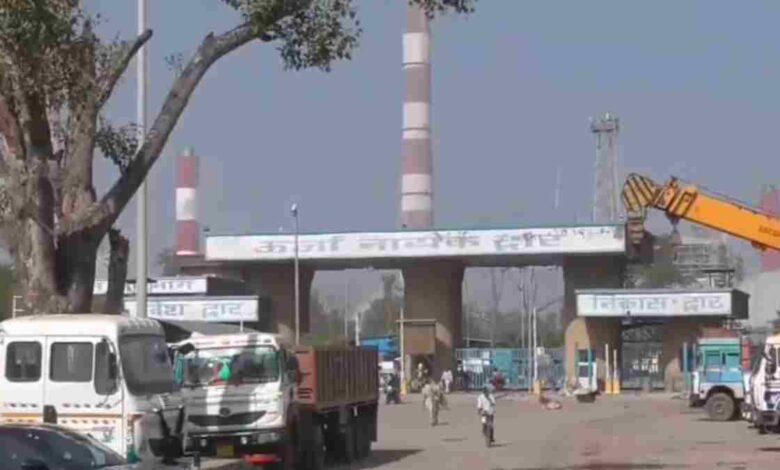 पर्यावरण संरक्षण के दावों पर सवाल, विंध्यनगर में पेड़ काटे गए