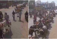 फास्ट लाइफ के बीच संस्कृति की जीत विदिशा में पारंपरिक बारात वायरल