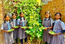 बच्चों को मिल रहा पौष्टिक आहार विद्यालय की बगिया से