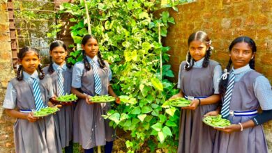 बच्चों को मिल रहा पौष्टिक आहार विद्यालय की बगिया से