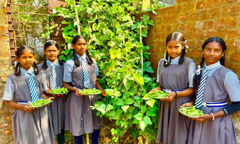 बच्चों को मिल रहा पौष्टिक आहार विद्यालय की बगिया से