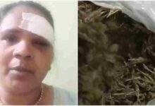 इंदौर महिला ने पति के नशे के कारोबार का किया पर्दाफाश