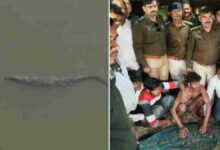 महाशिवरात्रि से पहले शिवसागर तालाब से मगरमच्छ को सुरक्षित स्थान पर स्थानांतरित