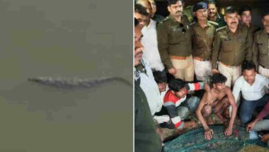 महाशिवरात्रि से पहले शिवसागर तालाब से मगरमच्छ को सुरक्षित स्थान पर स्थानांतरित