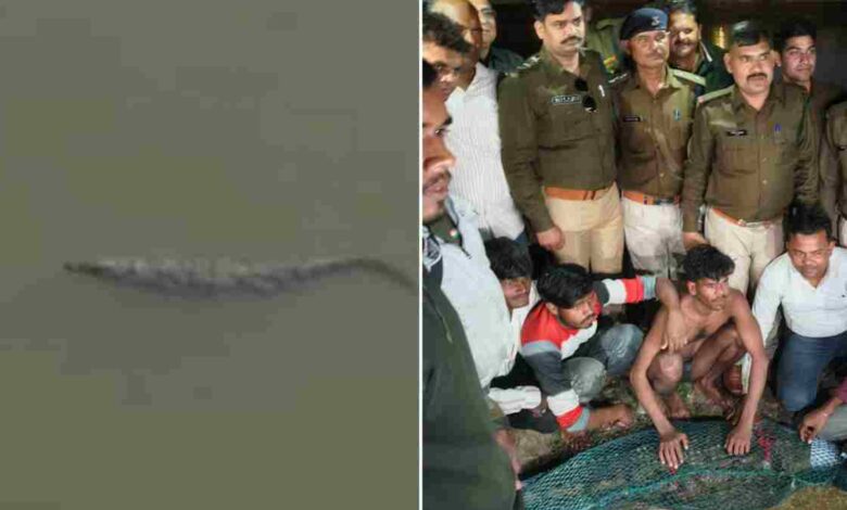 महाशिवरात्रि से पहले शिवसागर तालाब से मगरमच्छ को सुरक्षित स्थान पर स्थानांतरित महाशिवरात्रि से पहले शिवसागर तालाब से मगरमच्छ को सुरक्षित स्थान पर स्थानांतरित