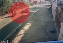 नरसिंहपुर में ट्रेन पकड़ते समय बाइक हादसा युवक की मौत, तेज रफ्तार का सीसीटीवी फुटेज में खुलासा