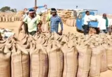 छत्तीसगढ़ में धान खरीदी में किसान सम्मान और आत्मविश्वास का नया अध्याय