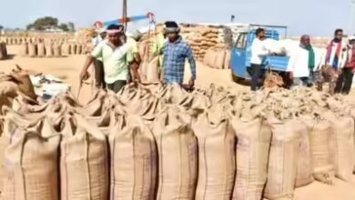 छत्तीसगढ़ में धान खरीदी में किसान सम्मान और आत्मविश्वास का नया अध्याय