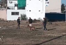 कोरबा में एसबीआई चीफ मैनेजर के घर चोरी, 5 लाख के जेवरात पार