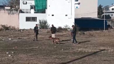 कोरबा में एसबीआई चीफ मैनेजर के घर चोरी, 5 लाख के जेवरात पार