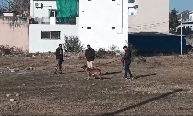 कोरबा में एसबीआई चीफ मैनेजर के घर चोरी, 5 लाख के जेवरात पार