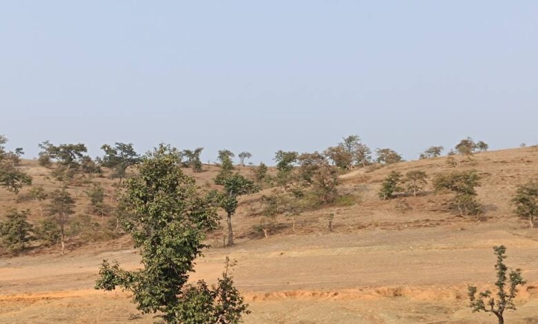 सिंगरौली के चितरंगी में सोने की खदान से रोजगार और विकास की उम्मीद