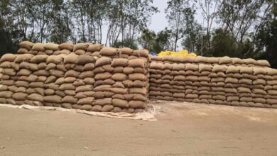 धान खरीदी केंद्र में लापरवाही, बारिश से करोड़ों का नुकसान धान खरीदी केंद्र में लापरवाही, बारिश से करोड़ों का नुकसान