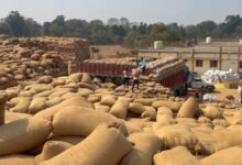 धान उठाव में सुस्ती खरीदी 50 लाख क्विंटल, परिवहन आधा भी नहीं