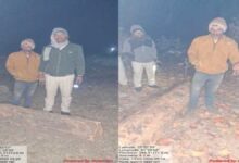 अमझोर वन क्षेत्र में अवैध कटाई रोकने गए वनकर्मियों पर माफिया का हमला, कई घायल