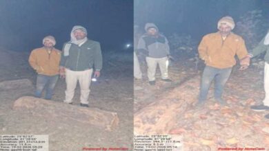 अमझोर वन क्षेत्र में अवैध कटाई रोकने गए वनकर्मियों पर माफिया का हमला, कई घायल