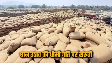 धान उठाव में देरी Markfed DMO को हटाकर दूसरी पोस्टिंग, केंद्रों में जाम