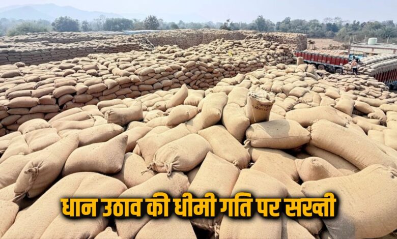 धान उठाव में देरी Markfed DMO को हटाकर दूसरी पोस्टिंग, केंद्रों में जाम