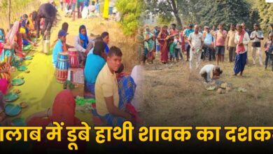 ग्रामीणों ने हाथी शावक के निधन पर किया मृत्युभोज और सुरक्षा उपायों का आयोजन ग्रामीणों ने हाथी शावक के निधन पर किया मृत्युभोज और सुरक्षा उपायों का आयोजन