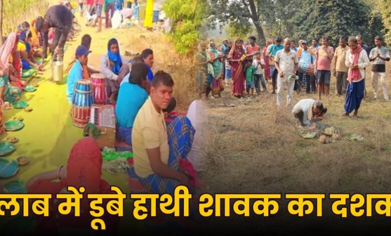 ग्रामीणों ने हाथी शावक के निधन पर किया मृत्युभोज और सुरक्षा उपायों का आयोजन ग्रामीणों ने हाथी शावक के निधन पर किया मृत्युभोज और सुरक्षा उपायों का आयोजन