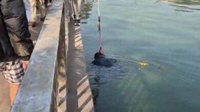 पुरानी बस्ती के कंकाली तालाब में मिला अज्ञात शव, इलाके में मचा हड़कंप