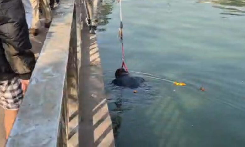 पुरानी बस्ती के कंकाली तालाब में मिला अज्ञात शव, इलाके में मचा हड़कंप