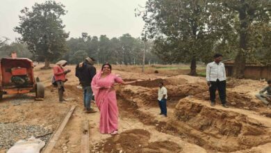 लीला साहू की मेहनत और सोशल मीडिया की ताकत से गांव को मिली पक्की सड़क