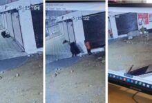 गांधी नगर थाना क्षेत्र ब्रांडेड टीवी चोरी, पुलिस आरोपियों की तलाश में