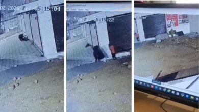 गांधी नगर थाना क्षेत्र ब्रांडेड टीवी चोरी, पुलिस आरोपियों की तलाश में