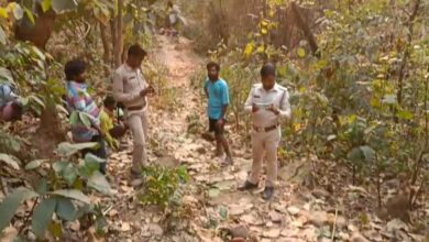 धर्मजयगढ़ और रायगढ़ में हाथी शावकों की मौत, वन विभाग ने बढ़ाई निगरानी धर्मजयगढ़ और रायगढ़ में हाथी शावकों की मौत, वन विभाग ने बढ़ाई निगरानी