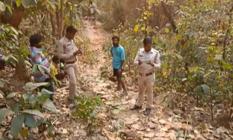 धर्मजयगढ़ और रायगढ़ में हाथी शावकों की मौत, वन विभाग ने बढ़ाई निगरानी धर्मजयगढ़ और रायगढ़ में हाथी शावकों की मौत, वन विभाग ने बढ़ाई निगरानी