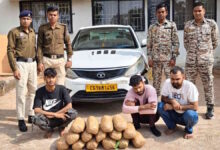 कबीरधाम पुलिस ने तीन अंतरराज्यीय गांजा तस्करों को गिरफ्तार, 15.48 किलो गांजा बरामद