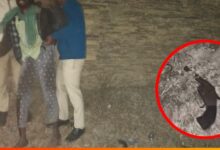 जांजगीर-चांपा में डकैती और मारपीट का गिरोह सक्रिय, पुलिस मुठभेड़ में मास्टरमाइंड गिरफ्तार