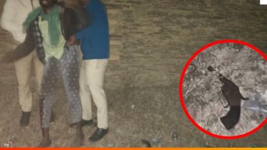 जांजगीर-चांपा में डकैती और मारपीट का गिरोह सक्रिय, पुलिस मुठभेड़ में मास्टरमाइंड गिरफ्तार जांजगीर-चांपा में डकैती और मारपीट का गिरोह सक्रिय, पुलिस मुठभेड़ में मास्टरमाइंड गिरफ्तार