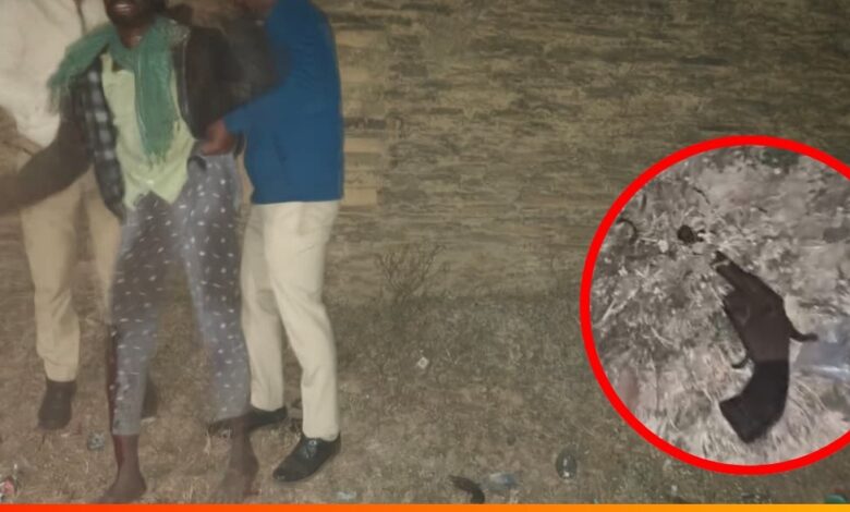 जांजगीर-चांपा में डकैती और मारपीट का गिरोह सक्रिय, पुलिस मुठभेड़ में मास्टरमाइंड गिरफ्तार