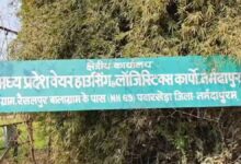 नर्मदापुरम में सरकारी वेयरहाउस से 4.22 करोड़ की मूंग चोरी, संचालिका और कर्मचारियों के खिलाफ केस दर्ज