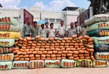 पुलिस की बड़ी कार्रवाई 5 करोड़ का 9 क्विंटल गांजा जब्त, कंटेनर में लेकर जा रहे थे गांजा जब्त पुलिस की बड़ी कार्रवाई 5 करोड़ का 9 क्विंटल गांजा जब्त, कंटेनर में लेकर जा रहे थे गांजा जब्त