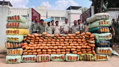 पुलिस की बड़ी कार्रवाई 5 करोड़ का 9 क्विंटल गांजा जब्त, कंटेनर में लेकर जा रहे थे गांजा जब्त पुलिस की बड़ी कार्रवाई 5 करोड़ का 9 क्विंटल गांजा जब्त, कंटेनर में लेकर जा रहे थे गांजा जब्त