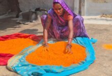 हर्बल गुलाल से और भी रंगीली होगी होली, विभिन्न रंगों और आकर्षक पैकेजिंग के साथ समूह द्वारा निर्मित हर्बल गुलाल